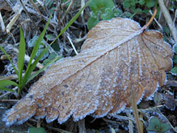 14_1219_simo1.jpg
