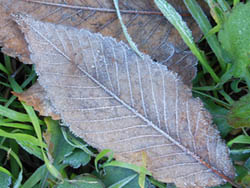 14_1219_simo5.jpg
