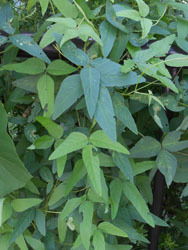 151014_turumame1.jpg