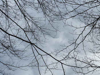 160224_muku_mizu.jpg