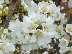 160429_yusura_u2.jpg