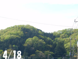 160516_oyama.jpg
