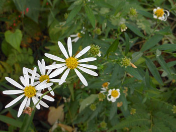 161118_yuga_g1.jpg