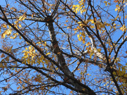 161223_akinire1.jpg