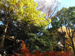 161223_iigiri.jpg