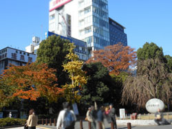161223_ueno01.jpg