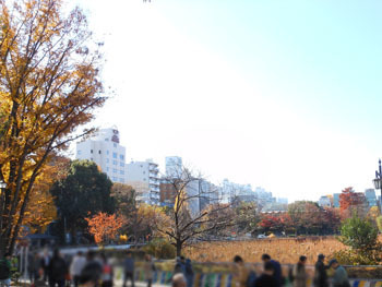 161223_ueno02.jpg
