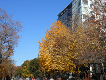 161223_ueno05.jpg