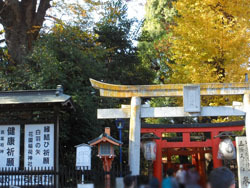 161223_ueno09.jpg