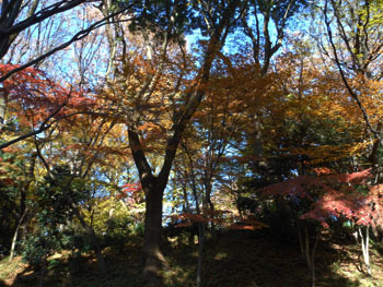 161223_ueno11.jpg