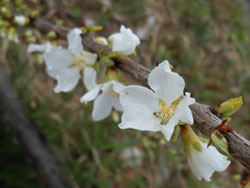 170420_yusura_u3.jpg