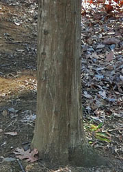 180128_side2.jpg