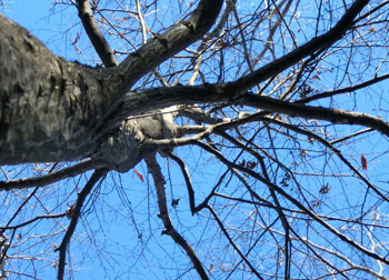 180128_side3.jpg