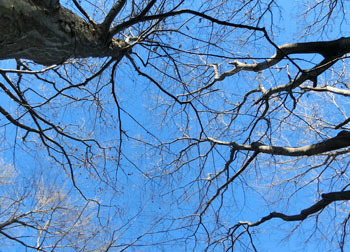 180128_side4.jpg