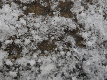 180216_snow09.jpg