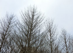 180218_ityo3.jpg