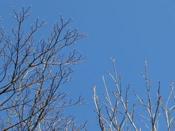 180219_h_mizu_toti.jpg