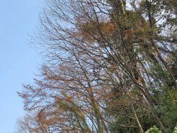 180419_akaside1.jpg