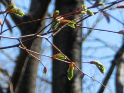 180428_inuside2.jpg