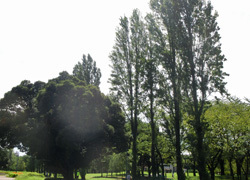 181009_sudajii.jpg