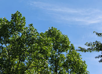 181009_yurinoki2.jpg
