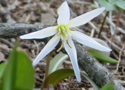 190503_hiroha_a2.jpg