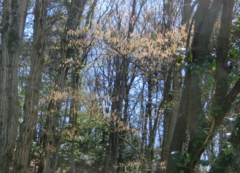 190503_inuside.jpg