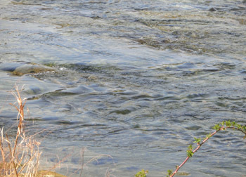 190505_kawa.jpg