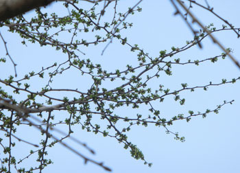 190603_ityo2.jpg