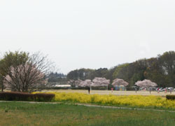 190609_kasen_jiki06.jpg