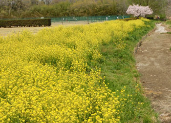 190609_kasen_jiki08.jpg