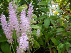 14_0928_turubo3.jpg