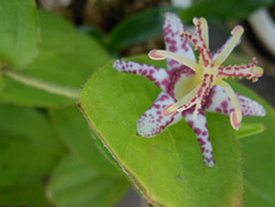 14_1018_yamajino_h07.jpg