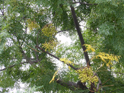 14_1020_auti1.jpg