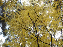 14_1212_aohada1.jpg