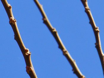 150201_outi2.jpg