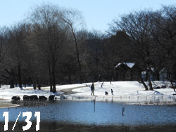 150214_park.jpg