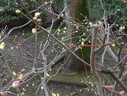 150328_hyuga_m1.jpg