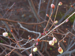150328_hyuga_m2.jpg
