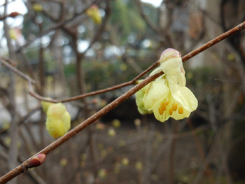 150328_hyuga_m3.jpg