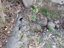150413_ogawa1.jpg