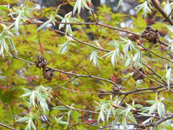 150426_inuside1.jpg