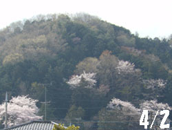 150428_yama.jpg
