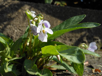 150430_ariake_s2.jpg
