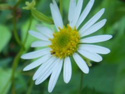 150906_yuuga_g2.jpg