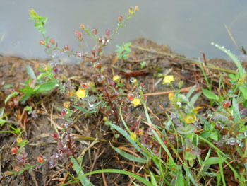 150925_k_otogiri1.jpg