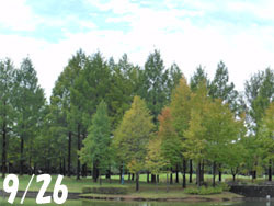 151201_park.jpg