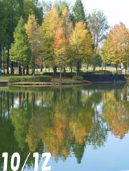 151213_park1.jpg