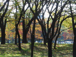 151213_park2.jpg