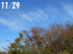 151225_zokibayasi1.jpg